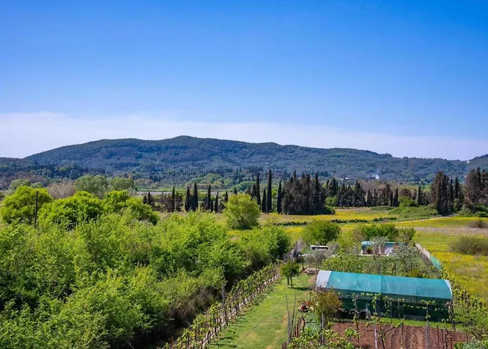 Apartment Corfu Dream Holidays Kouramaditika