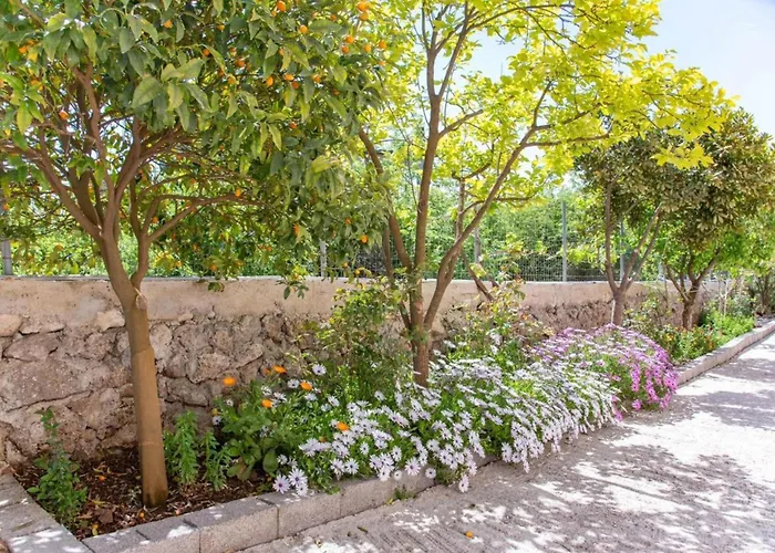 Apartment Corfu Dream Holidays Kouramaditika