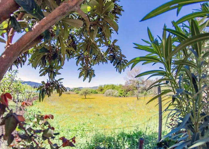 Apartment Corfu Dream Holidays *