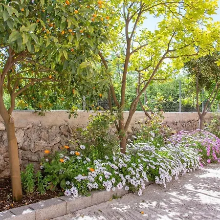 Apartment Corfu Dream Holidays Kouramaditika