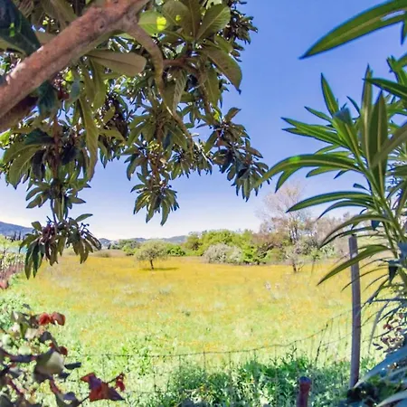 Apartment Corfu Dream Holidays *