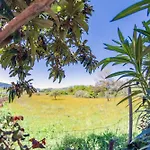 Διαμέρισμα Corfu Dream Holidays *
